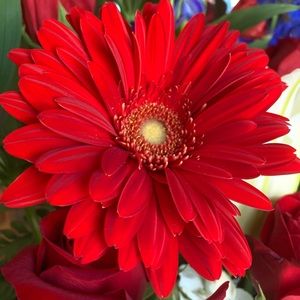 Meet your Posher, K M